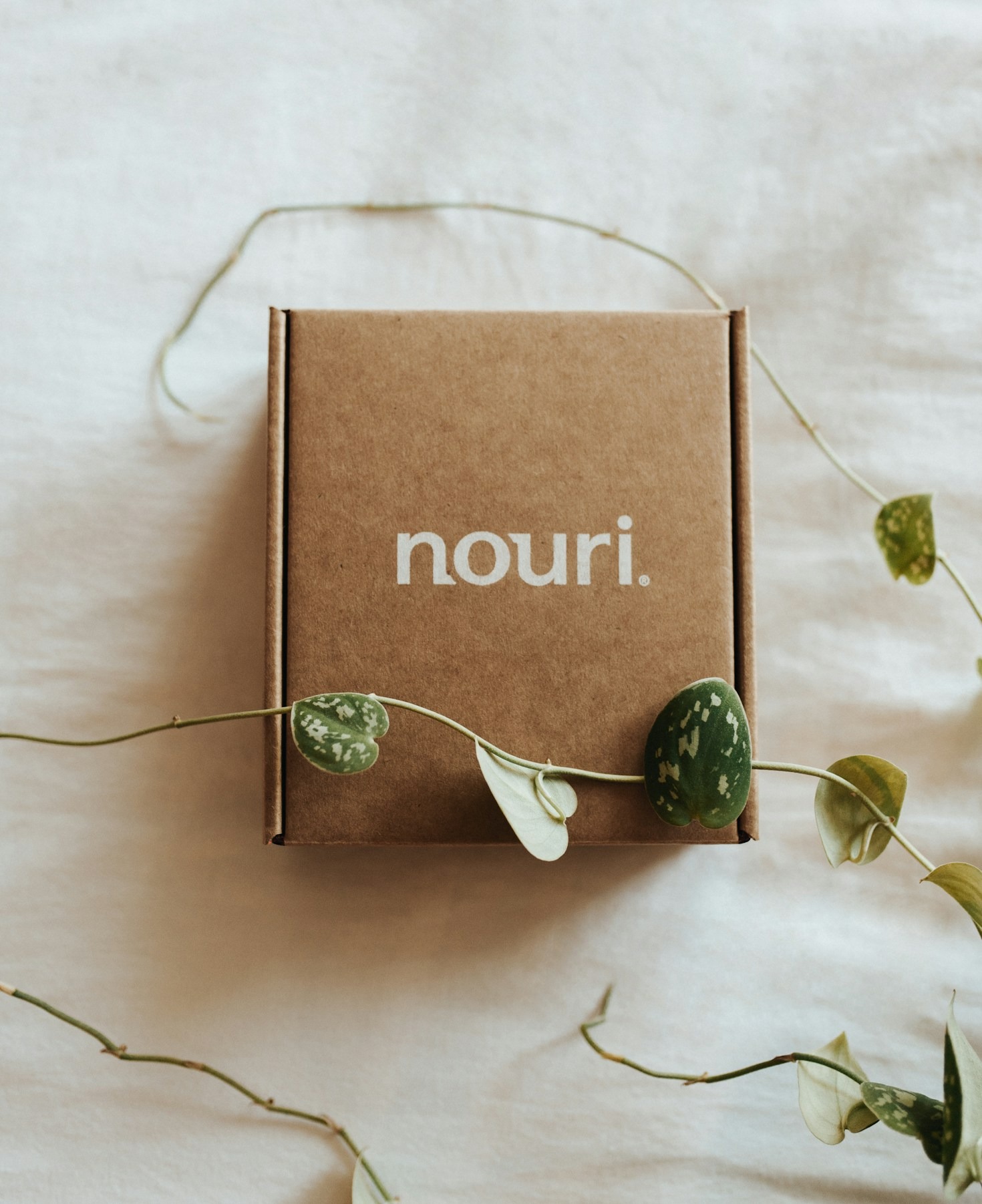 Innovative Packaging Designs That Drive Brand Success
